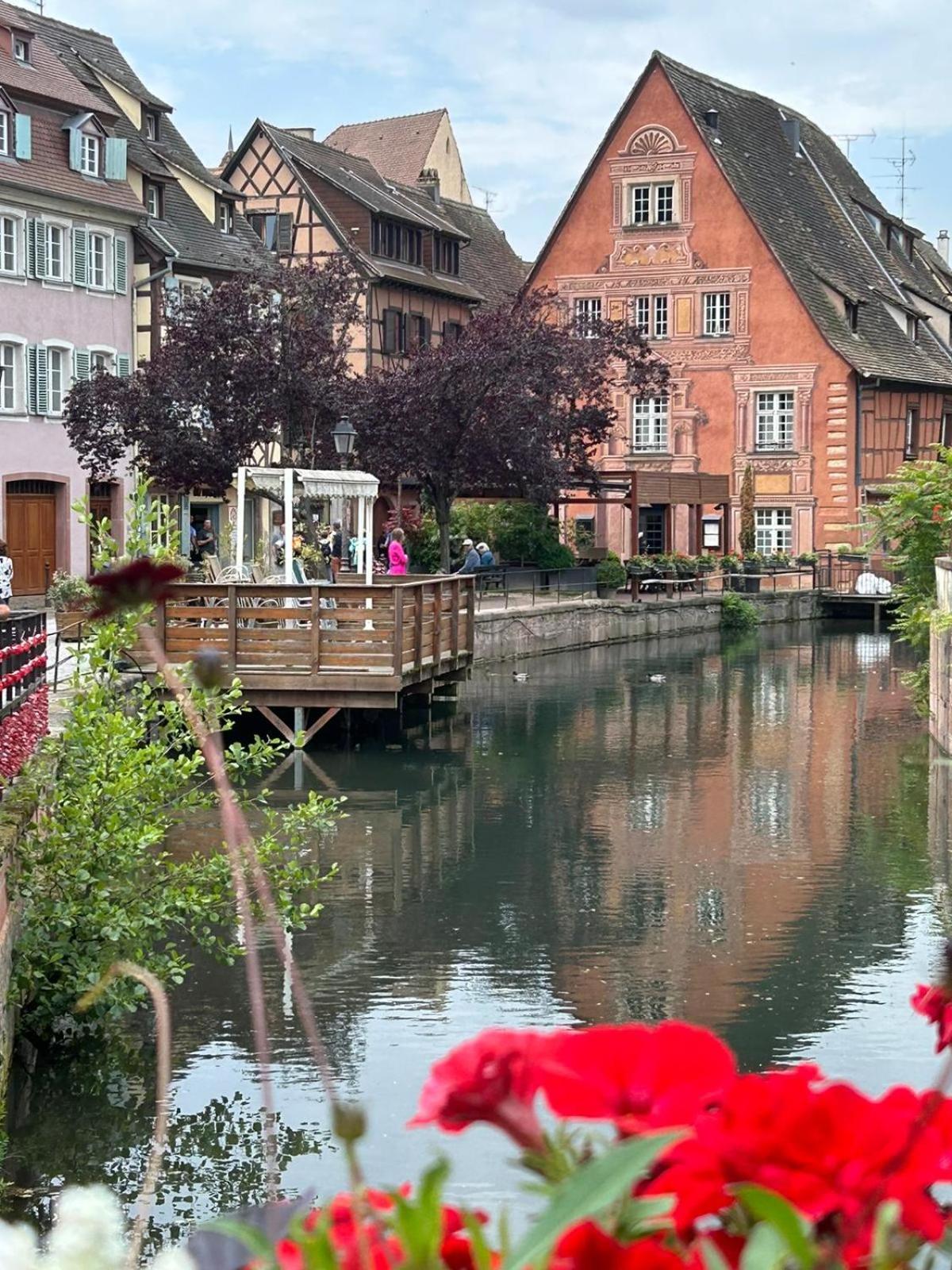 Les Hortensias Fortschwihr Extérieur photo