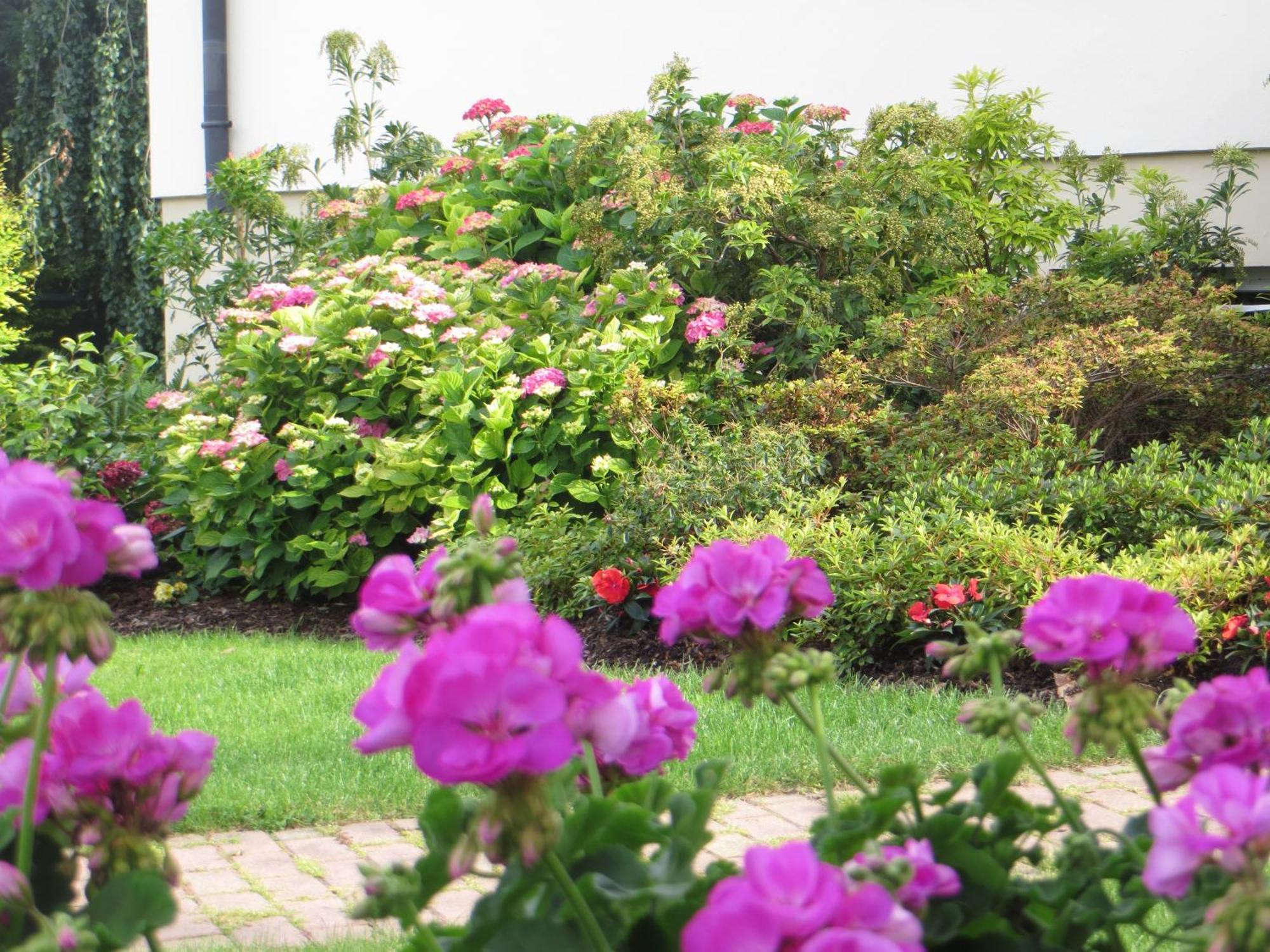 Les Hortensias Fortschwihr Extérieur photo