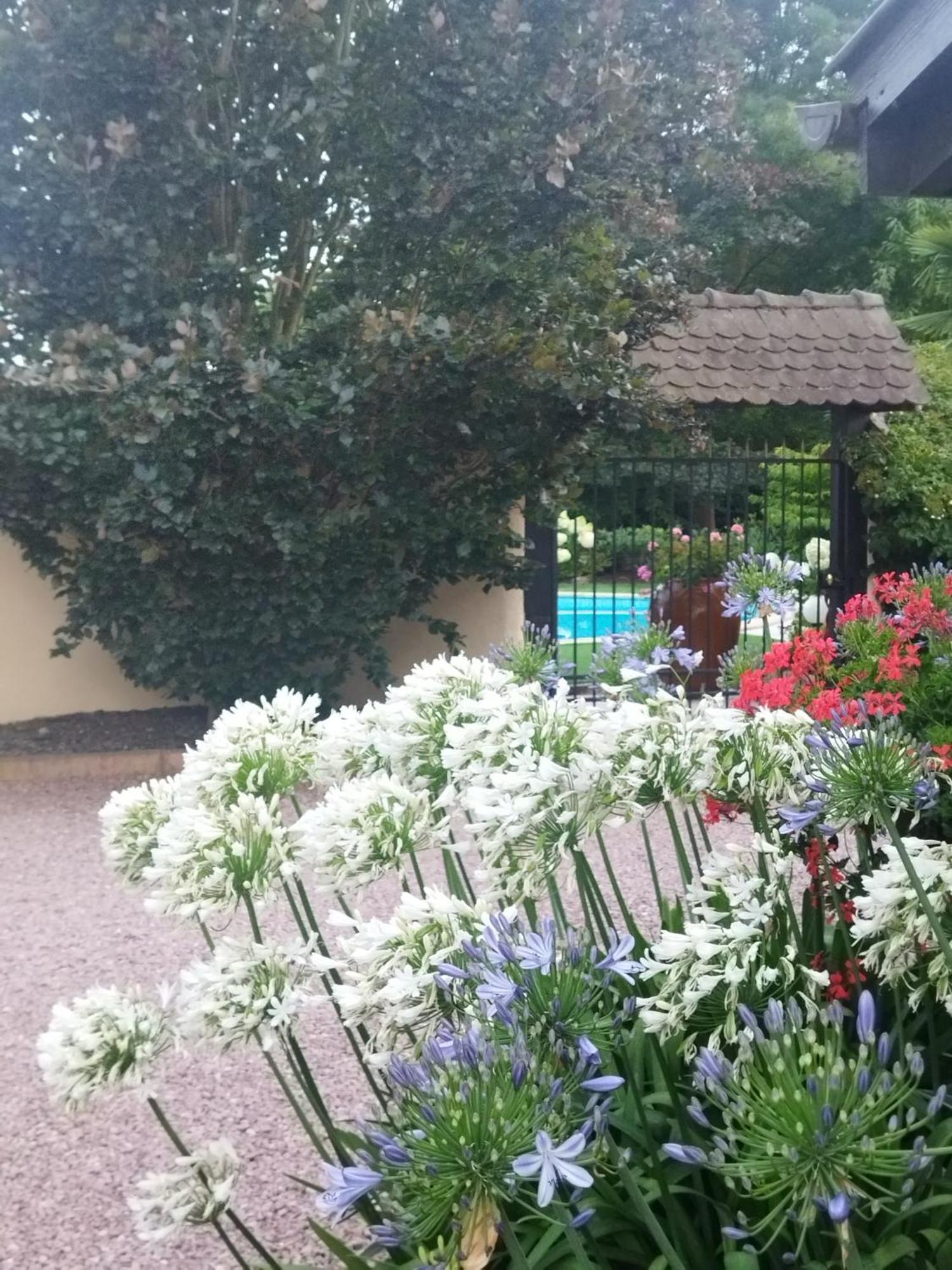 Les Hortensias Fortschwihr Extérieur photo