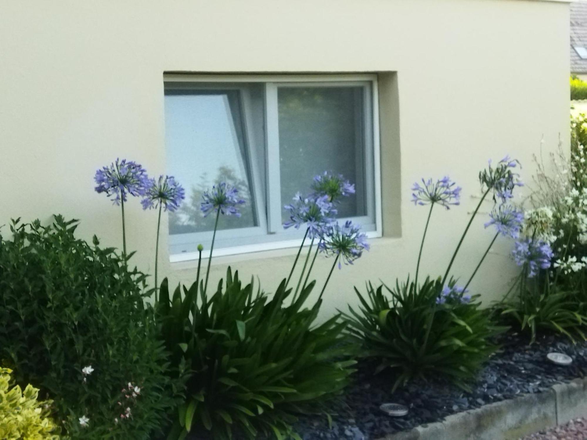 Les Hortensias Fortschwihr Extérieur photo